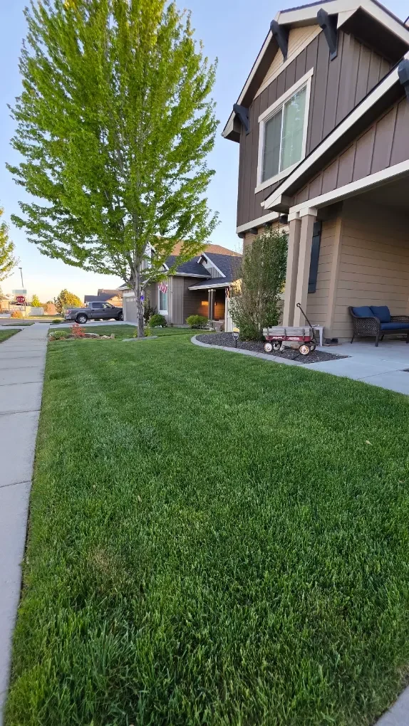 A freshly groomed green lawn beside a Middleton, Idaho home
